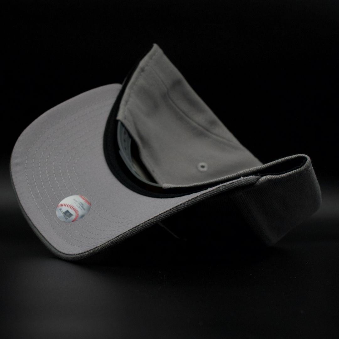 LA A FRAME COOL GRAY SNAP BACK