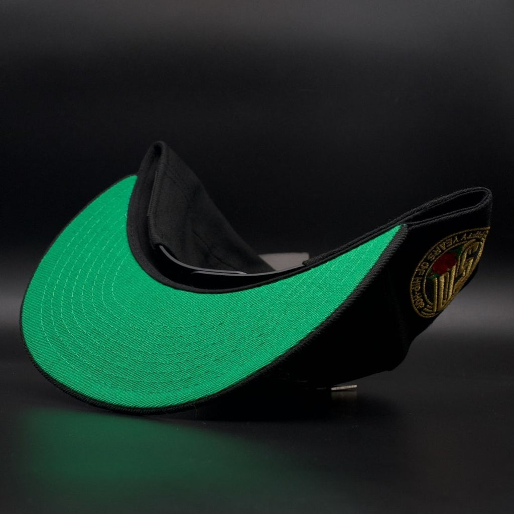 PAPER PLANES SNAP BACK 50 YEARS OF HIP HOP