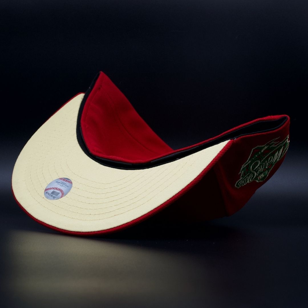 NY YANKEES STATE FRUIT RED APPLE